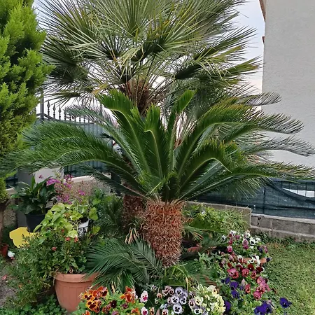Angolo Fiorito Frühstückspension Civitavecchia
