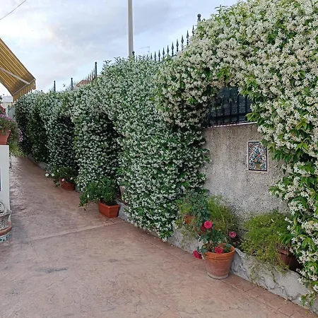 Frühstückspension Angolo Fiorito Civitavecchia