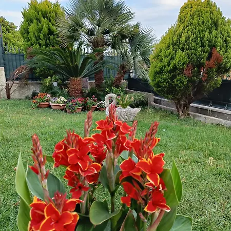 Angolo Fiorito * Civitavecchia