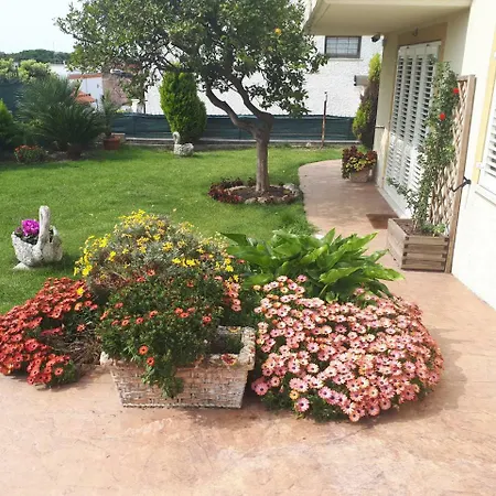 Bed & Breakfast Angolo Fiorito *