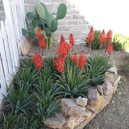 Angolo Fiorito Bed & Breakfast *